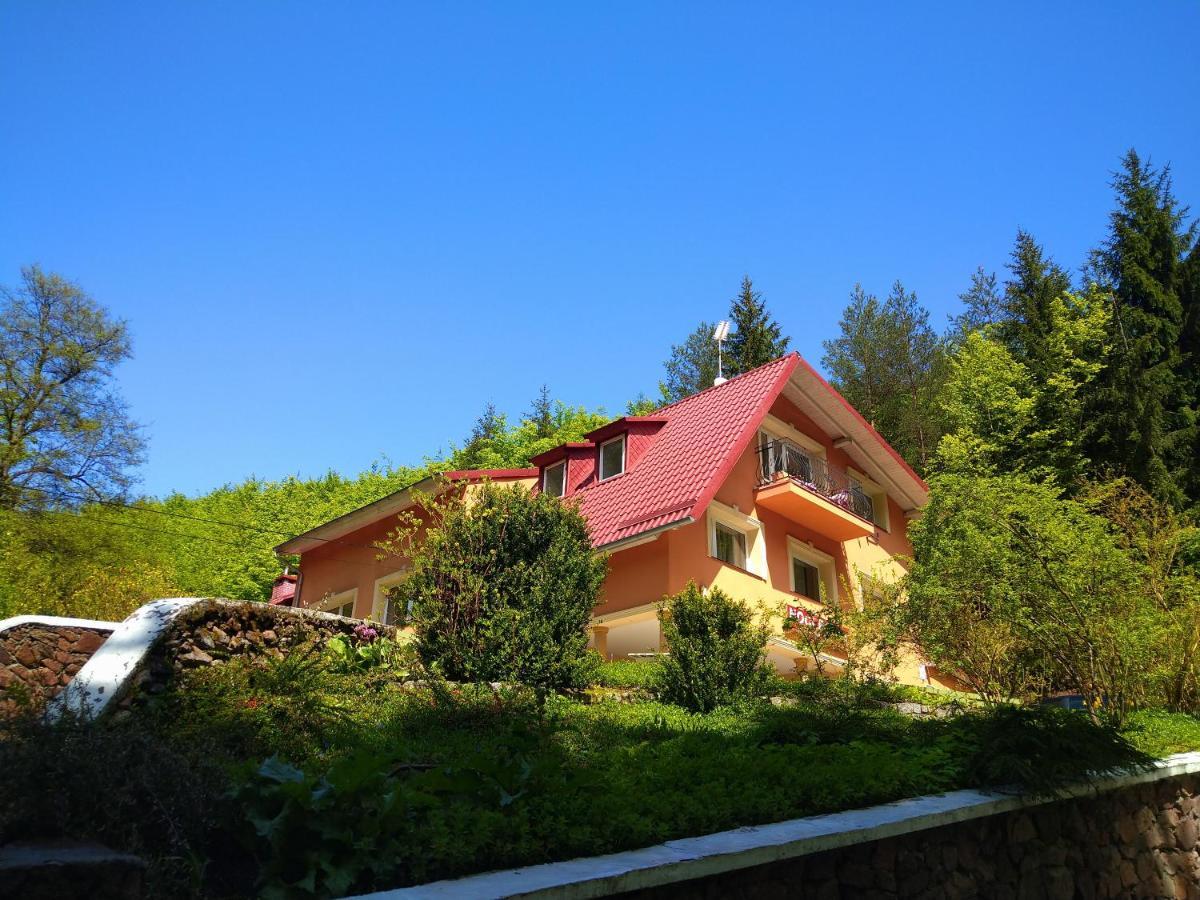 Dworek Lesny Bad Kudowa Exterior foto