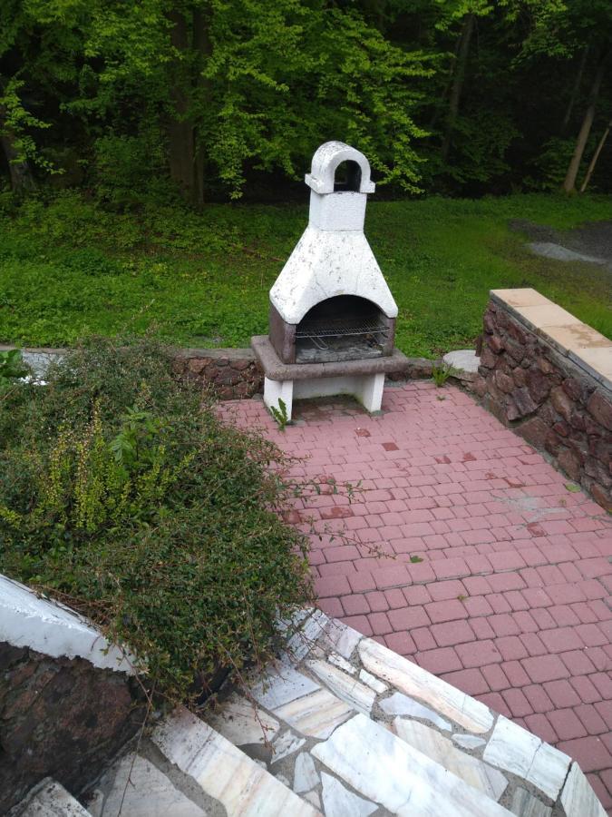 Dworek Lesny Bad Kudowa Exterior foto