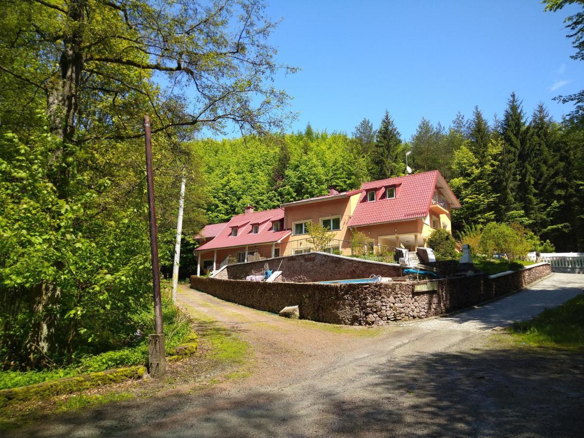 Dworek Lesny Bad Kudowa Exterior foto