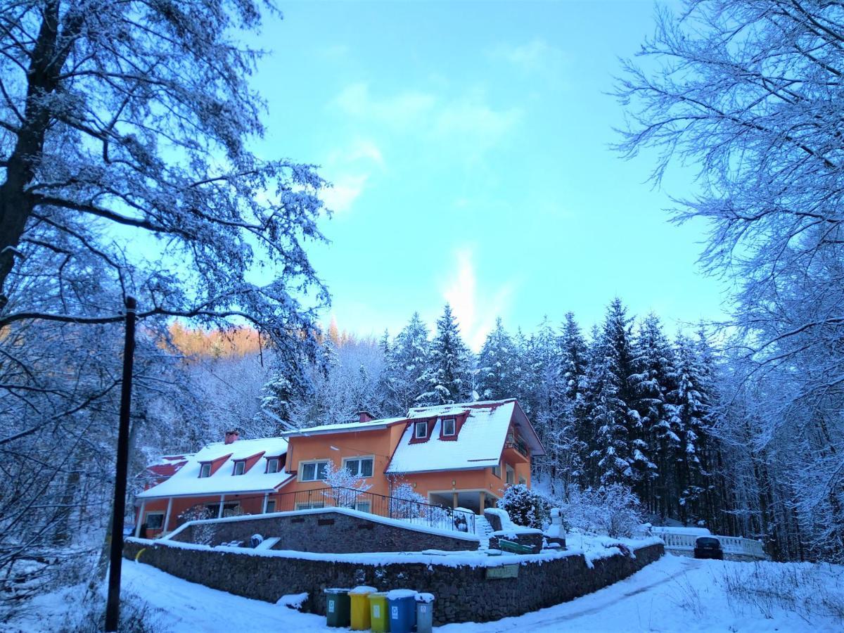 Dworek Lesny Bad Kudowa Exterior foto